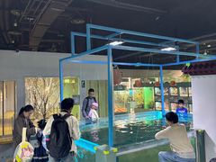 -上海大自然野生昆虫馆(东方明珠·爬宠昆虫探索中心)