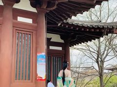 -西安青龙寺遗址景区