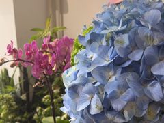 -FEI FEI FLOWER鲜花店·气球派对·宝宝宴布置(虹口德必运动Loft店)