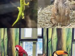 -海合安武汉极地海洋公园