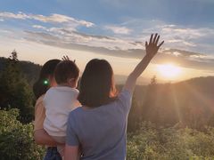 -长虫山生态公园风景林
