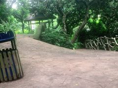 -青青世界