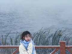 -丁香湖公园