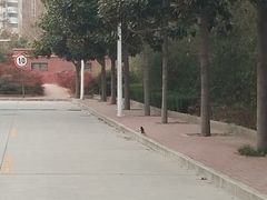 -河南财经政法大学(郑东校区)