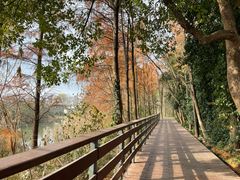 -西溪国家湿地公园