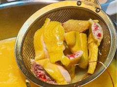 -喜聚薈·花膠雞海鮮火鍋(越秀店)
