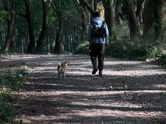 -杭州半山国家森林公园