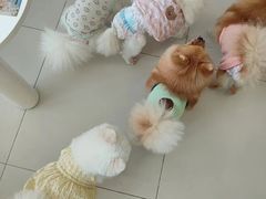 -怪兽屋·羊驼·猫咖·狗咖(俊华广场店)