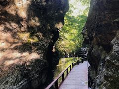 -牛背梁国家森林公园