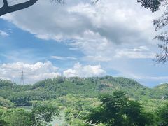 -深圳仙湖植物园
