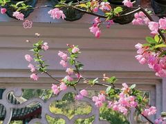 -虎丘山风景名胜区
