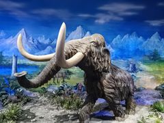 -中国第四纪冰川遗迹陈列馆