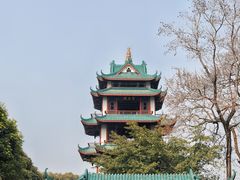-桂湖森林公园