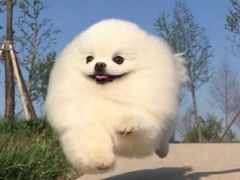 -北门涮肉·炭火铜锅涮肉(什刹海店)