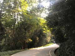 -黑色经典臭豆腐·湖南特产(太平街口店)