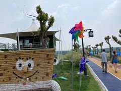 -溱湖国家湿地公园