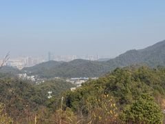 -桃花岭景区