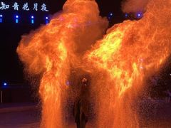 -花博汇(知音花月夜)