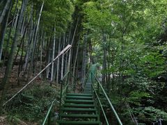 -藏龙百瀑风景区