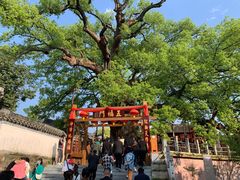-新安江山水画廊风景区