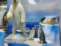 -国家自然博物馆