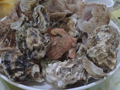 -日照世帆赛基地