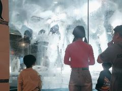 -帝企鹅自助餐厅•儿童岛•真企鹅(长隆企鹅酒店)