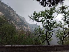 -泰山风景名胜区