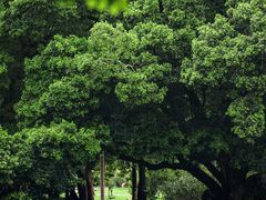 -人民公园(罗湖区)