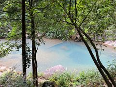 -广州白江湖森林公园