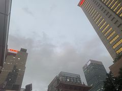 -杨箕村B区