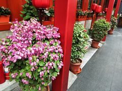 -万柳阁小馆·花园餐厅(龙潭湖店)
