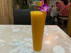 -Jungle Kitchen