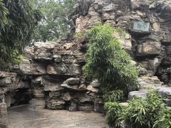 -紫光园·烤鸭·北京菜(团结湖店)