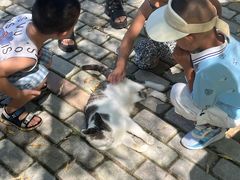 -哈尔滨北方森林动物园