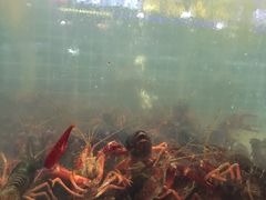 -盱眙小龙虾(天虹店)