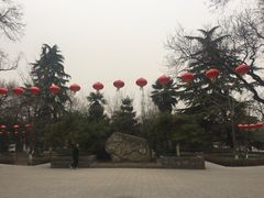 -莲湖公园