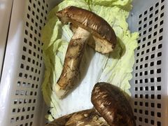 -易门野生菌府·菌海森林(月牙潭公园店)