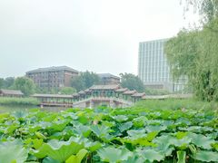 -西海子公园