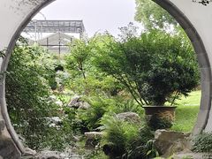 -上海醉白池公园