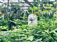 -南宫五洲植物乐园