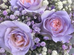 -循礼门鲜花花市(武汉循礼门店)