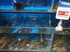 -盒马鲜生(皇庭广场店)