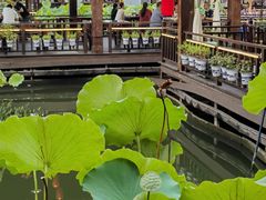 -醉香隆.山水庭院.湖北菜(东湖店)