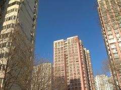 -芍药居北里
