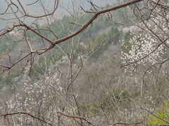 -天津金海湖