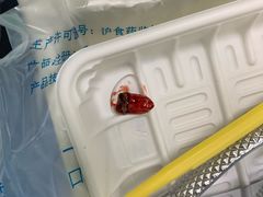 -上海市口腔医院(徐汇院区)