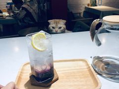 -花与咖啡馆(金星楼店)