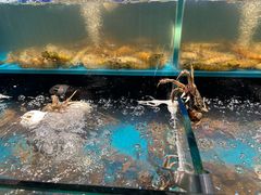 -苏格里岛自助烤肉海鲜火锅(成都金牛万达店)
