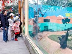 -阿依河景区